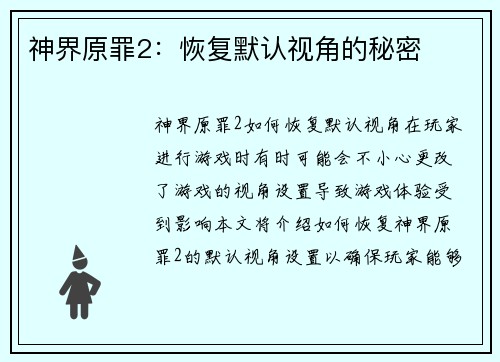 神界原罪2:恢复默认视角的秘密
