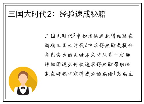 三国大时代2:经验速成秘籍