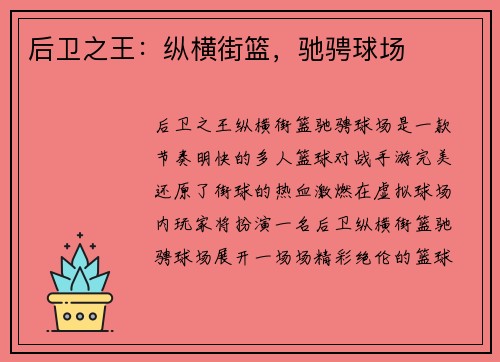 后卫之王：纵横街篮，驰骋球场