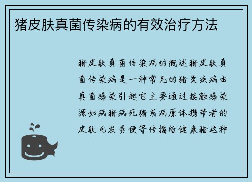 猪皮肤真菌传染病的有效治疗方法
